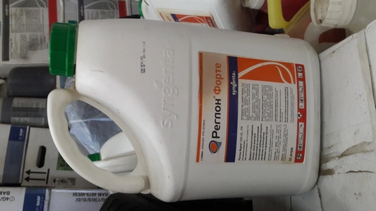 Прилипач Прилипач